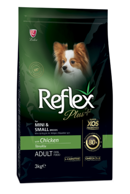 Cão adulto de porte pequeno brincando comendo ração Reflex Plus Frango