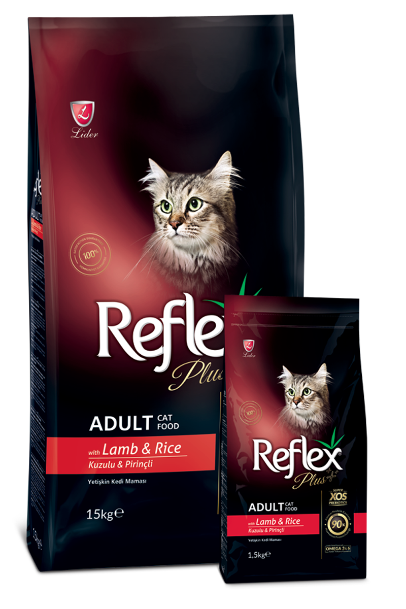 Gato adulto brincalhão comendo ração Reflex Plus Gato Adulto Cordeiro & Arroz