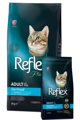 Gato adulto castrado brincando comendo ração Reflex Plus Salmão