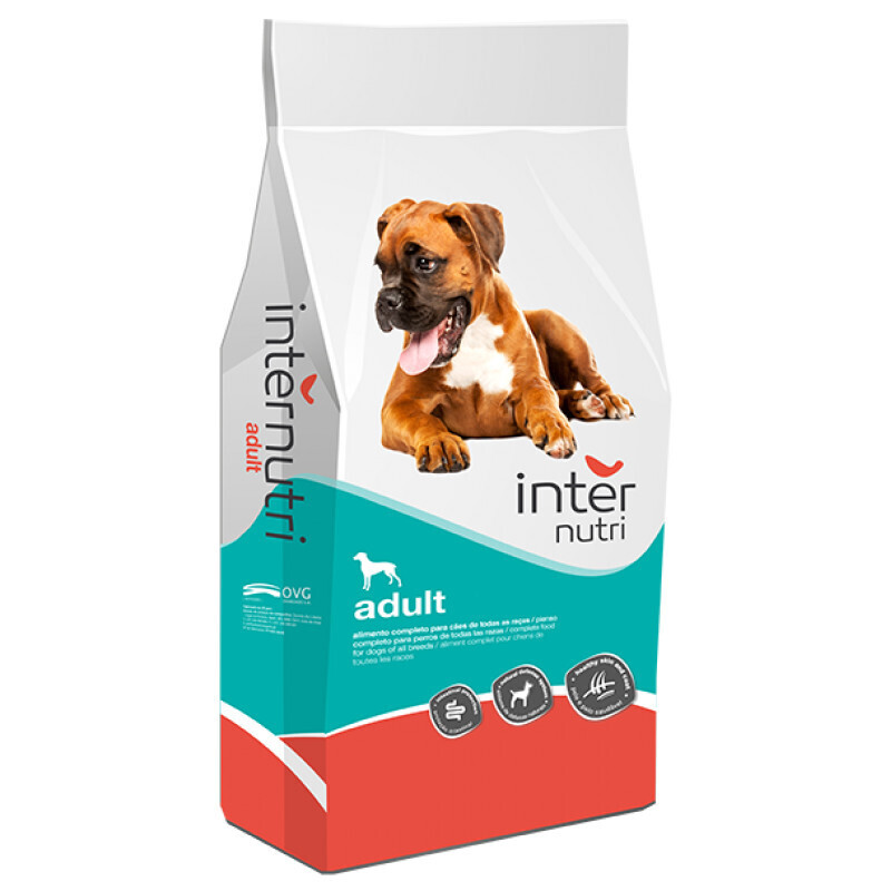 Internutri | Cão Adulto 4kg