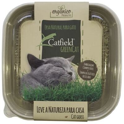 Catfield | GreenCat 80g