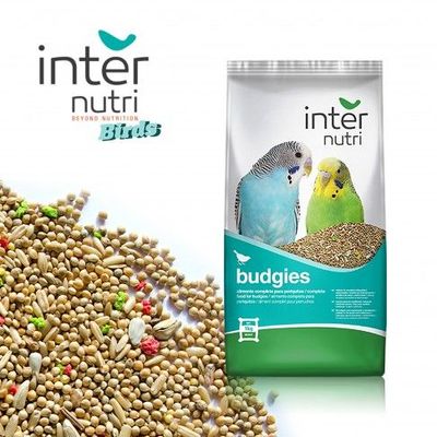 Internutri | Alimentação para Periquitos 1kg