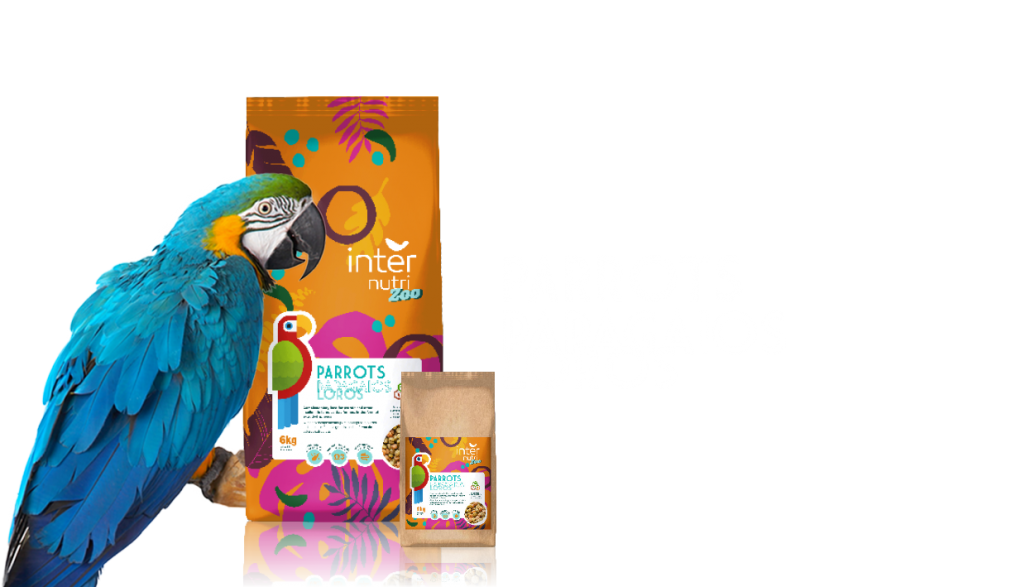 Saco de ração para papagaios em tons de verde e amarelo. Internutri Alimentação para Papagaios 1kg com variedade de sementes e frutas.