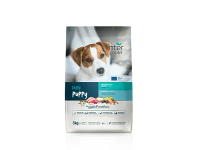 Internutri Tasty Dog Puppy 3kg, alimento completo para filhotes de cães.