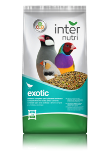 Internutri | Alimentação para Pássaros Exóticos 1kg