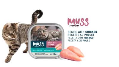 Pacote de ração húmida Internutri Muss para gatos, sabor frango, 100g.