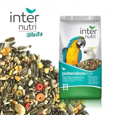 Mistura de sementes e cereais equilibrada Internutri para psitacídeos de grande porte.