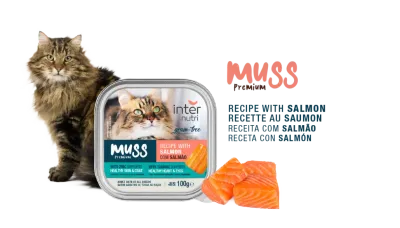 Pacote de ração húmida Internutri Muss para gatos, sabor salmão, 100g.
