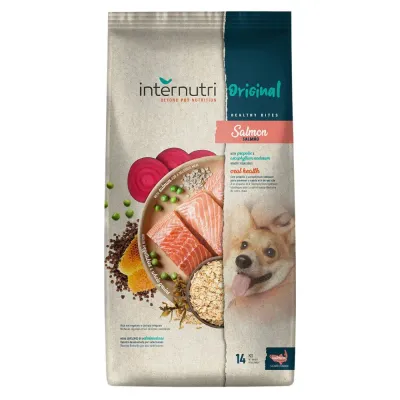 Ração Internutri Original Dog Adult Salmon 14kg para cães adultos