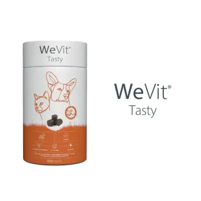 WePharm | WeVit Tasty 30 Chews WePharm | WeVit Tasty 30 Chews
