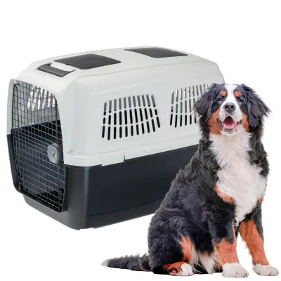 Caixa de transporte Ferplast Clipper Plus 6 para cães grandes