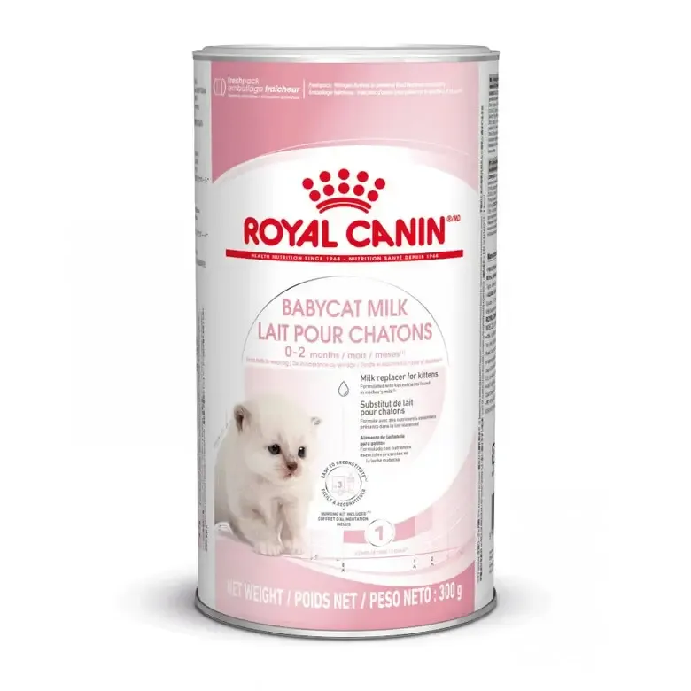 Leite substituto Royal Canin Babycat Milk 300g para gatinhos