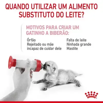 Leite substituto Royal Canin Babycat Milk 300g para gatinhos