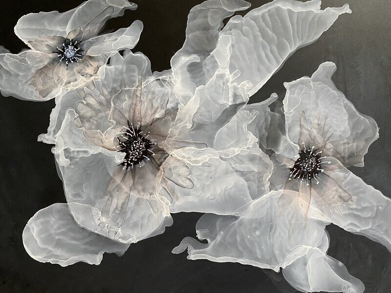 GHOST PETALS