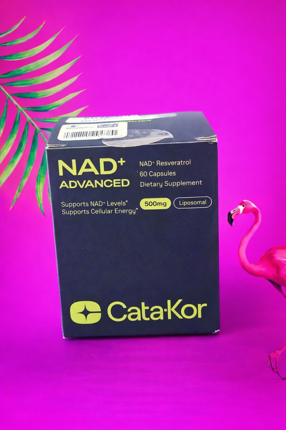 NAD+ Advanced (Cata-Kor)