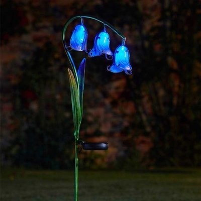 Bluebells