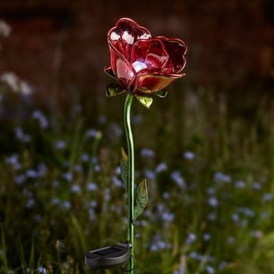 Red Rose