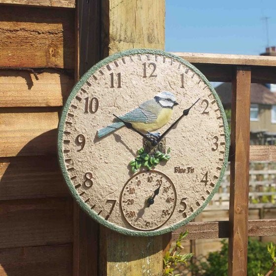 Blue Tit Wall Clock &amp; Thermometer 12in