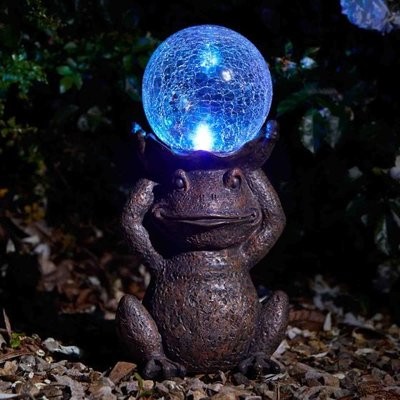 Gazing Frog