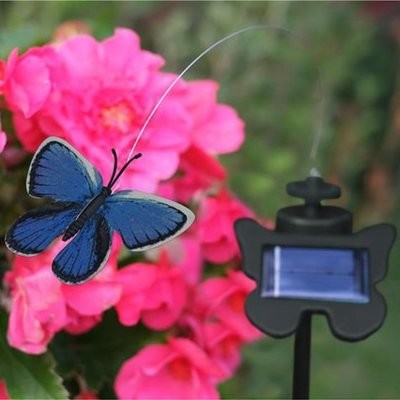 Flutterby Butterfly