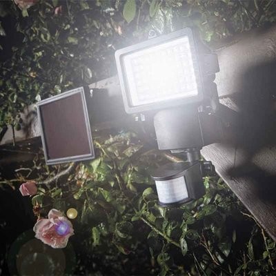 PIR Millennium Floodlight
