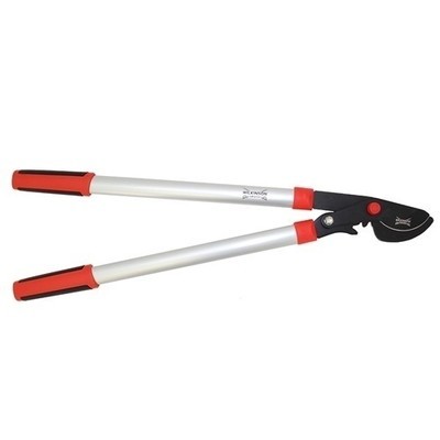 Loppers