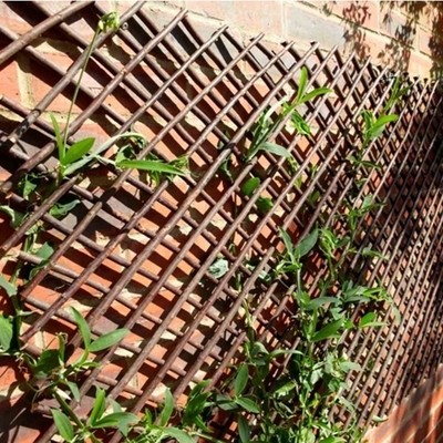 XS Exp Willow Trellis 1.8x0.3m