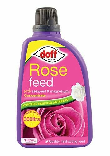Doff 1L Rose Feed