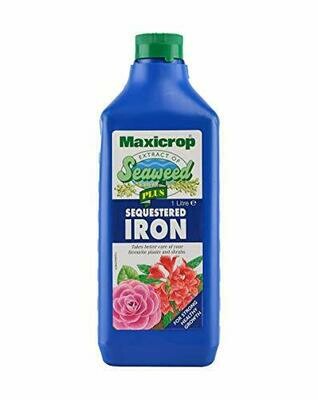 Maxicrop Plus Sequestered Iron, 1 Litre, Blue