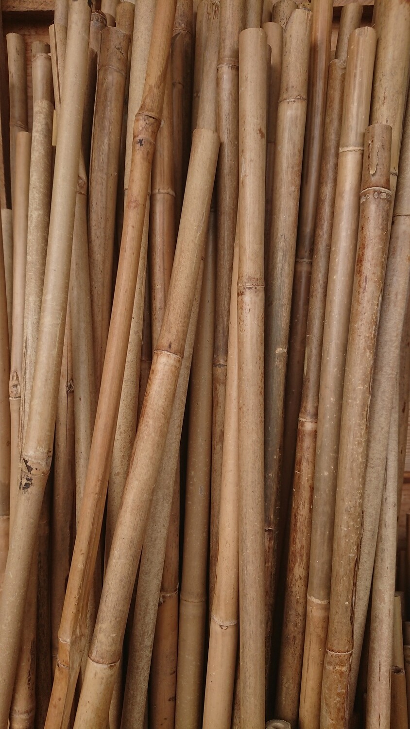 Bamboo canes 6ft