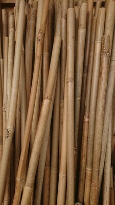 Bamboo canes