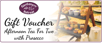 Afternoon Tea for Two with 2 bottles of Prosecco Voucher