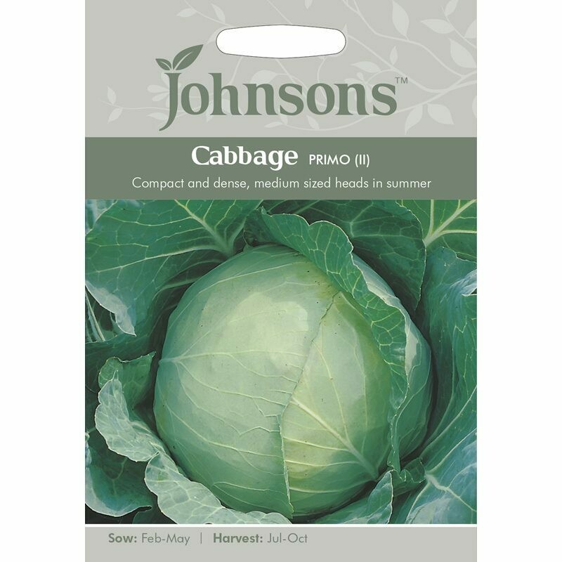 Cabbage Primo (ll)
