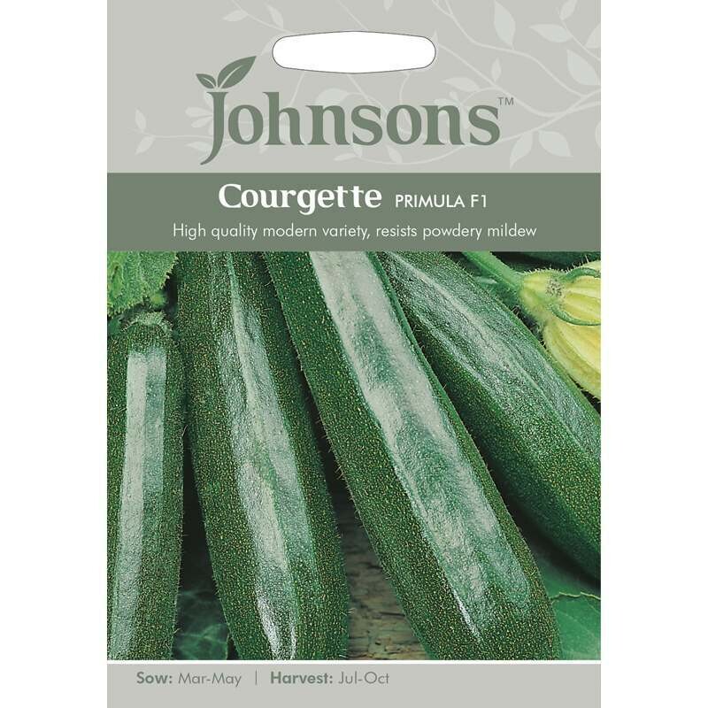 Courgette Primula F1
