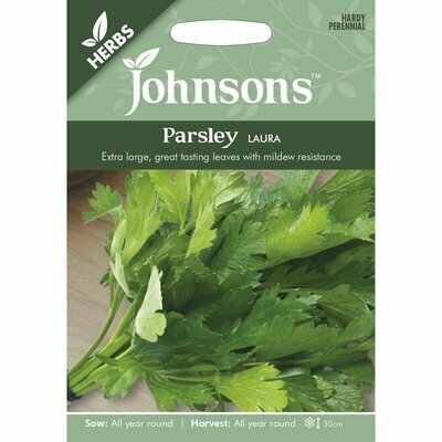 Herb - Parsley Laura