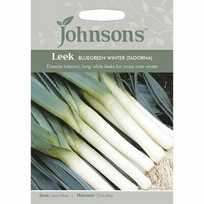 Leek Bluegreen Winter (Tadorna)