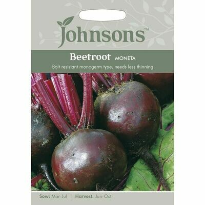 Beetroot Moneta