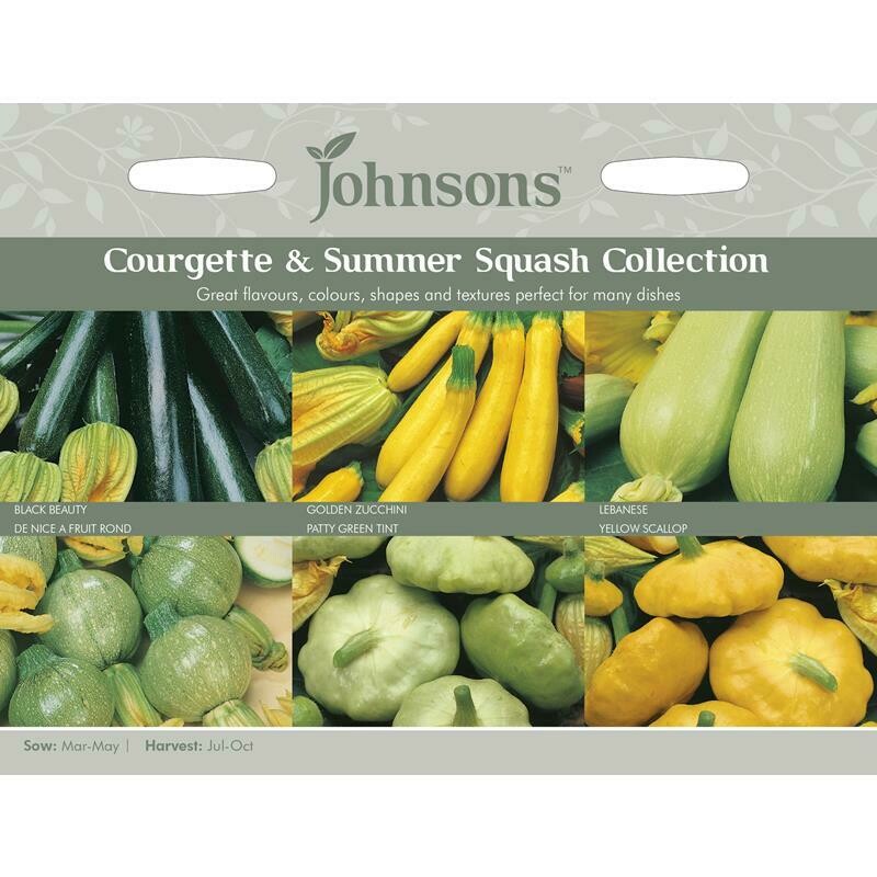Courgette &amp; Summer Squash Collection