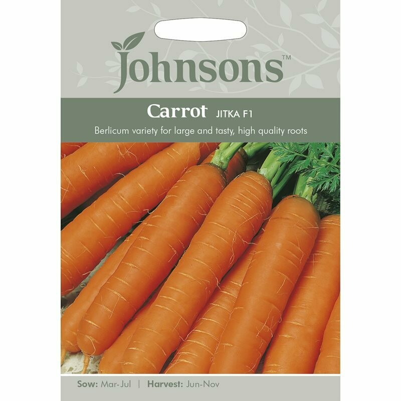 Carrot Jitka F1