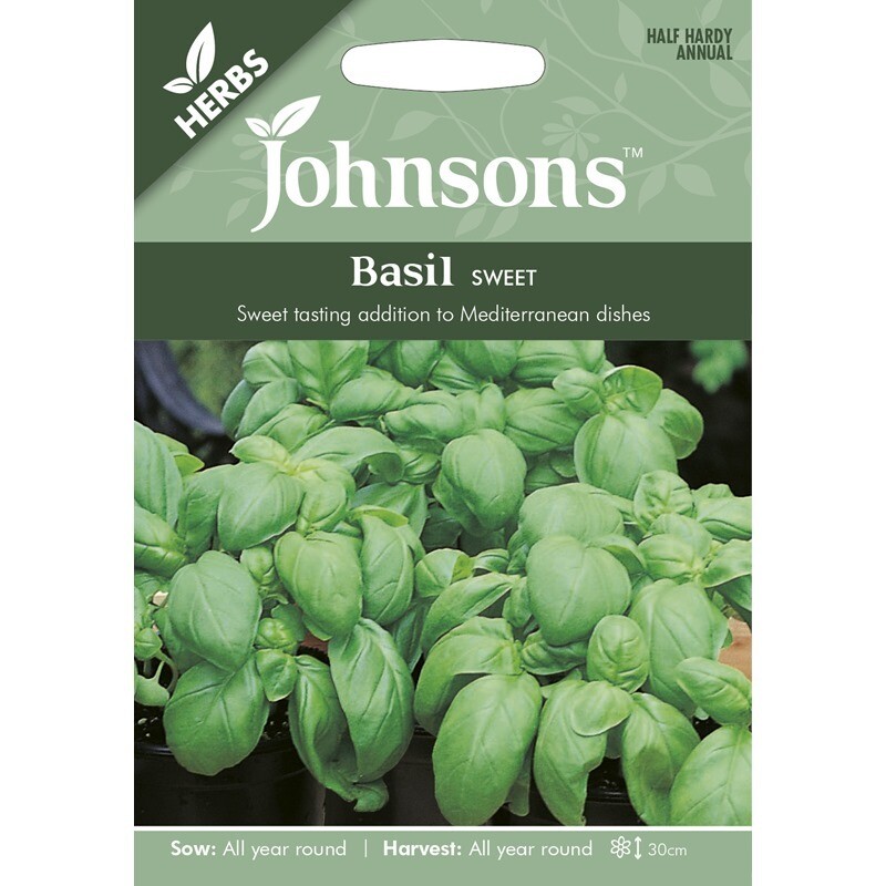 Herb - Basil Sweet