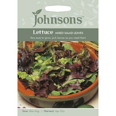 Lettuce Mixed Salad Leaves