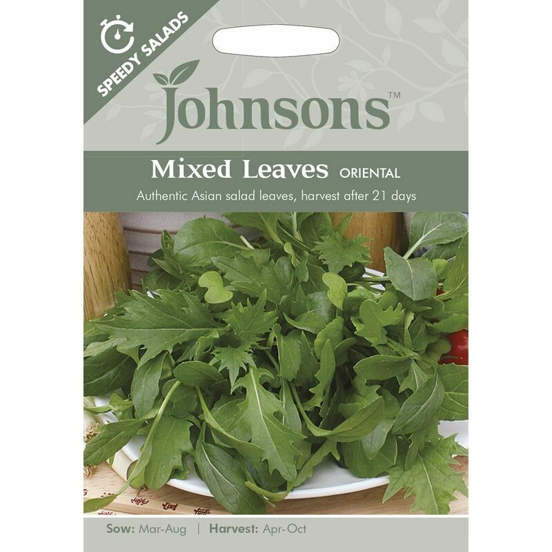 Mixed Leaves Oriental