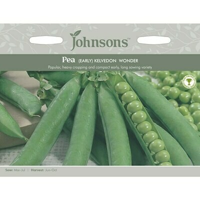 Pea Kelvedon Wonder