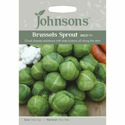 Brussels Sprout Brest F1