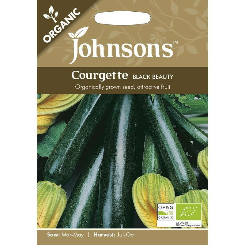 Courgette Black Beauty (org)