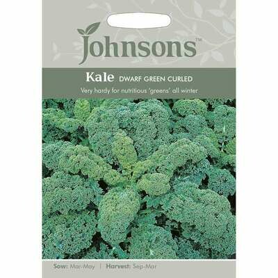 Kale Dwarf Green Curled
