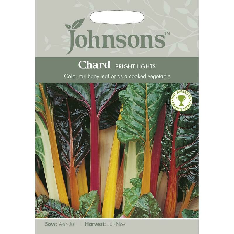 Chard Bright Lights