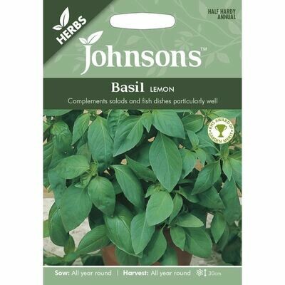 Herb - Basil Lemon