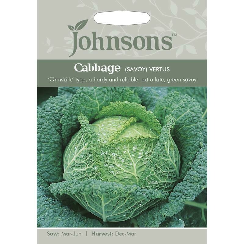 Cabbage (Savoy) Vertus