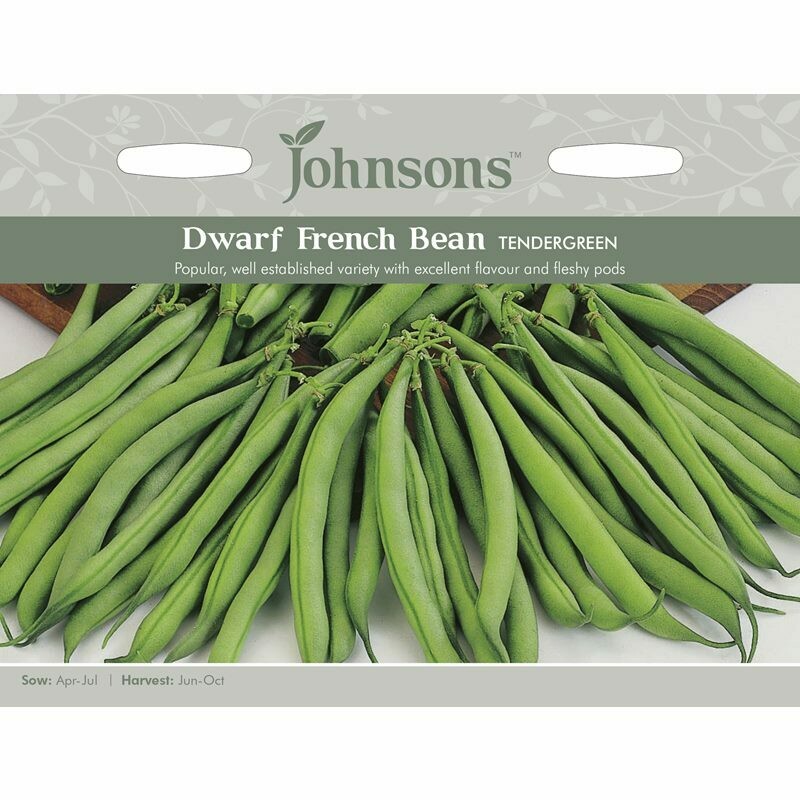 Dwarf French Bean Tendergreen